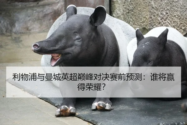 利物浦与曼城英超巅峰对决赛前预测：谁将赢得荣耀？